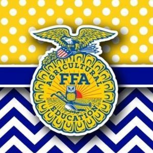 Meet your Posher, Hailey